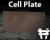 Cell Plate