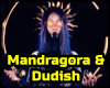 Mandragora f Dudish