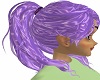 purple sabella
