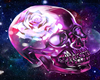 Skull And Rose Pic
