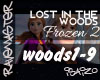 Lost in the woods|Frozen