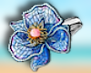 Orchidea