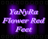 ~lYlRed Flower Feet~