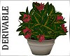 3N: DERIV: Plants 53