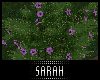 4K .:Butterfly Bush 2:.