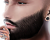 Beard TOp Realistic