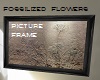 fossilized flowers