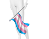 Transgender Pride Flag