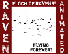 CONSPIRACY OF RAVENS!