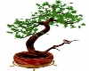 Oriental Potted Tree