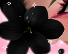 Flower Black R