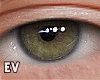 Ev Eyes