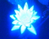 Blue waterlily sticker