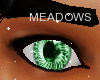 !S!Meadows Eyes~M