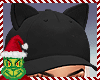 [BOB] Kitty Avril