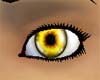 [TET] ambar eyes M