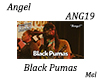 ANGEL BlackPumas ANG19