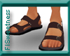 FLS Sandals - Brown