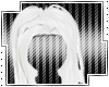 Tahni Chara