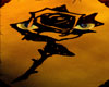 black rose with cat eyes