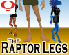 Raptor Legs -Female v1a