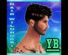 Hair Black WILDBOSS1