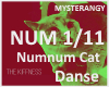 Mix Danse Numnum Cat