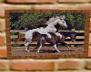 Paint horses wall pic