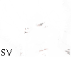 wolfcut white