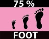 F. Foot Resizer %75