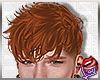[LD]ZeuscGinger