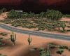 Saguaro Highway