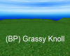 (BP) Grassy Knoll