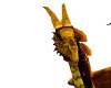 [DP] Gold Dragon Drake