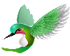 (AV) Hummingbird 2