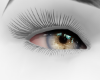 Hazel Storm Grey Eyes