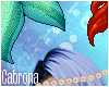 `C` Viola Mermaid 