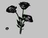 E~Animated Black Roses