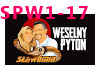 SLAWOMIR-WESLNY PYTON
