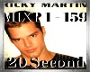 ZY: Ricky Martin MIX