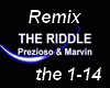 The Riddle Remix