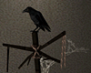 ☠ Scary Crow !