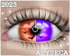 Ⓐ Agnes Eyes 2-tone