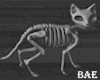 SB| Skeleton Cat