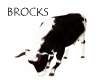 BROCKS DAIRY COW