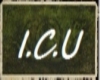 I.C.U banner name (Max)