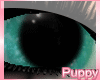 [Pup] Peppermint Eyes