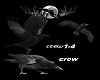 particle crow 