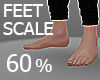 Feet Scale 60%