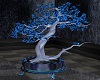 bonsai blue